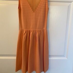 Orange Bebe dress